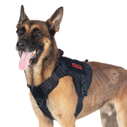 OneTigris Dog Harness Vest for Walking Hiking Hunting Tactical Military Water-Resistant MOLLE Training Harness for Service Dog - The Gear Guy